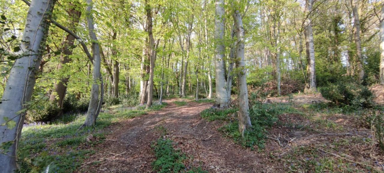 Gites 4,6 Personnes Fecamp Etretat Colleville Bagian luar foto